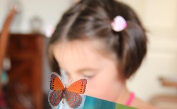 Wonderbly avis : des livres personnalisés pour émerveiller les enfants