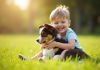 Enfant heureux avec un chiot australien dans l'herbe
