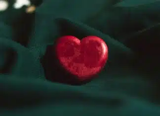 red heart ornament on green textile